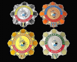 Жетон наградой 925 пр. с позолотой с логотипом организации с эмалью с рельефной поверхностью.